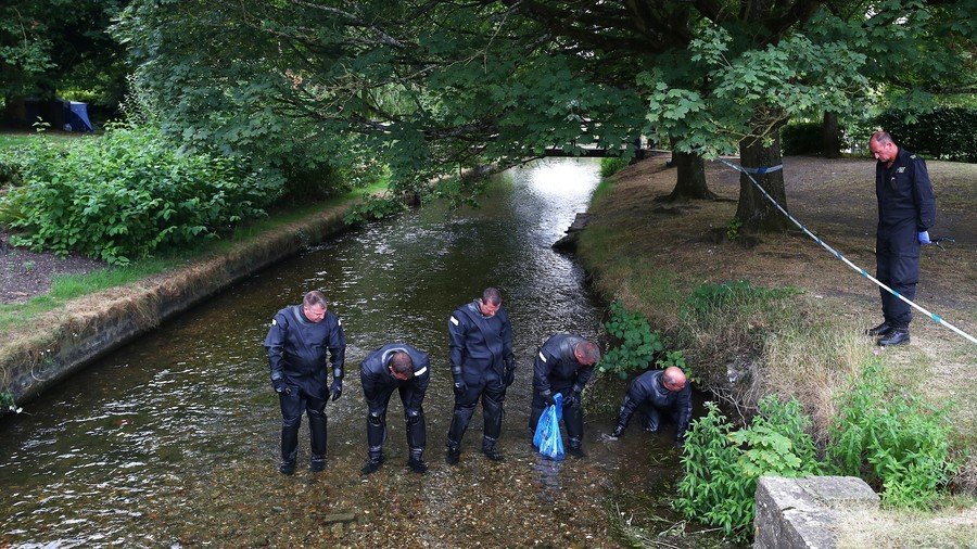 Moscow slams Bellingcat for ‘leaking misinformation’ on Salisbury suspects from special services