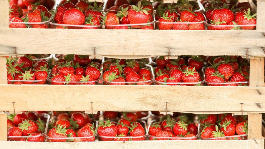 Copycat fruit saboteur? Needle found in banana as Australian strawberry contamination spreads 