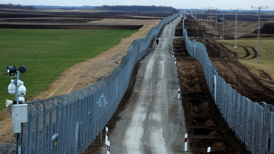 ‘Immigration is not a human right’: Hungary slams ‘pro-migrant’ UN officials for ‘spreading lies’