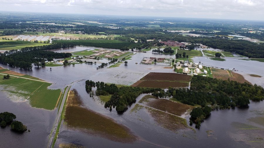 Hurricane Florence flooding kills millions of farm animals