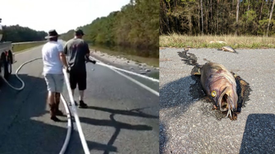 Firefighters blast rotting fish off US highways after Hurricane Florence (VIDEO)