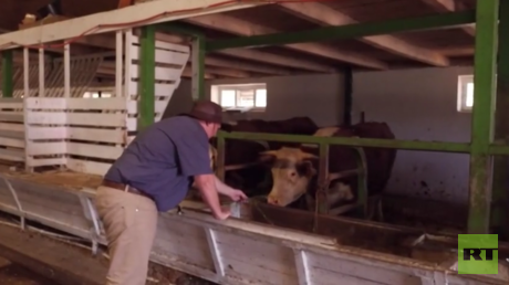 New home in Russia: White South African farmer seeks safety as land seizure looms (VIDEO)