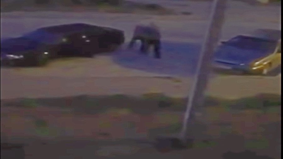 Russian man shot dead after wife told husband to deal with late-night loud music (GRAPHIC VIDEO)