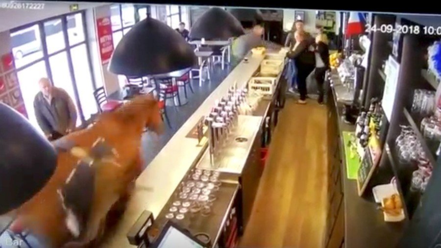 A horse walks into a French bar… and no one finds it funny, chaotic VIDEO shows