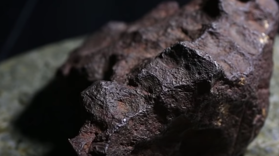 ‘Most valuable specimen I have ever held’: Doorstop rock confirmed as $100k meteorite (VIDEO)