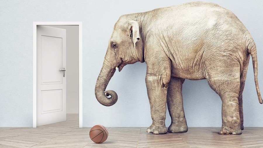 Is a bicycle alive? Can an elephant fit through a house door? DARPA to teach AI ‘common sense’