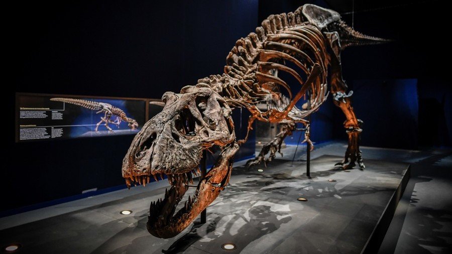 T-rex redesign: The Jurassic meat-eater as you’ve never seen him before (PHOTOS)