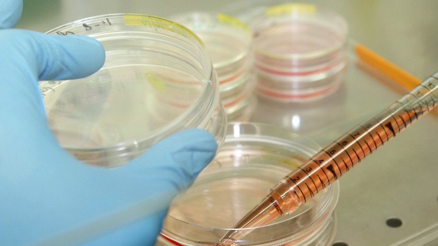 Cardiac stem cell treatment pioneer fabricated 31 studies, Harvard & Brigham conclude