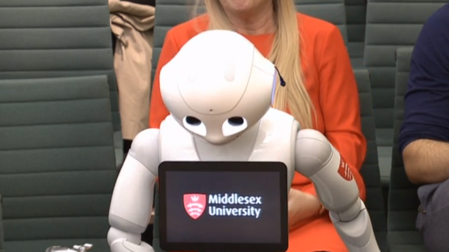 WATCH robot give evidence to parliament, outperforming ‘some ministers’