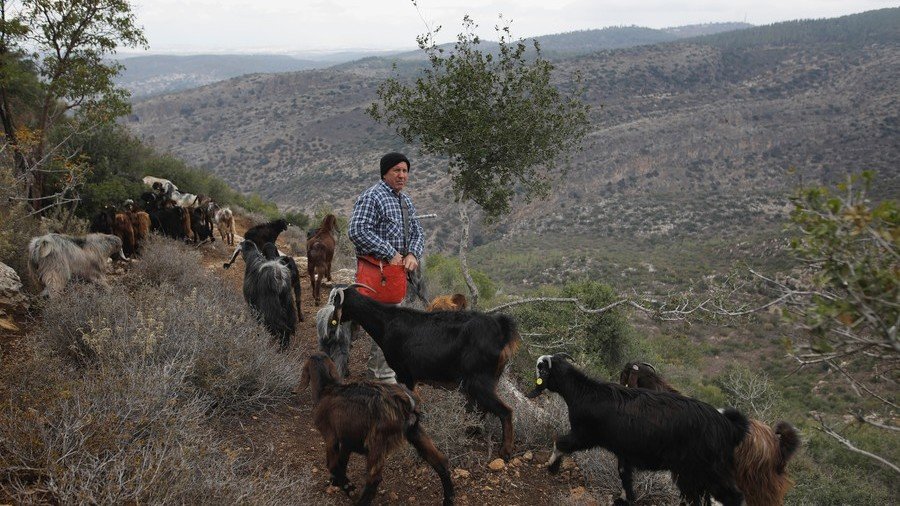 ‘Unacceptable & disruptive’: Israel seeks talks as Jordan demands its farmland back after 25yr lease