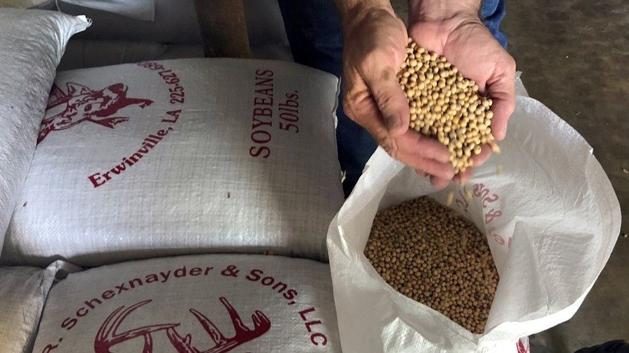Crop stop: Beijing plans complete ban on American soybeans as trade war escalates