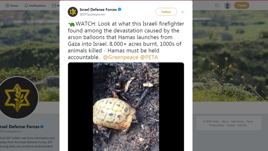 200+ Palestinians killed since March… and IDF alerts PETA about plight of tortoise (VIDEO)