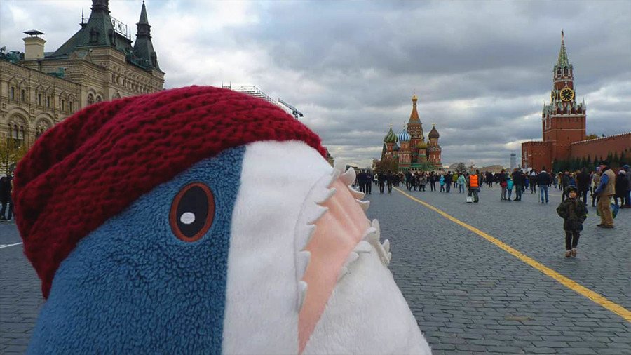 Shark attack: Russians going meme crazy over IKEA’s big plush sharks