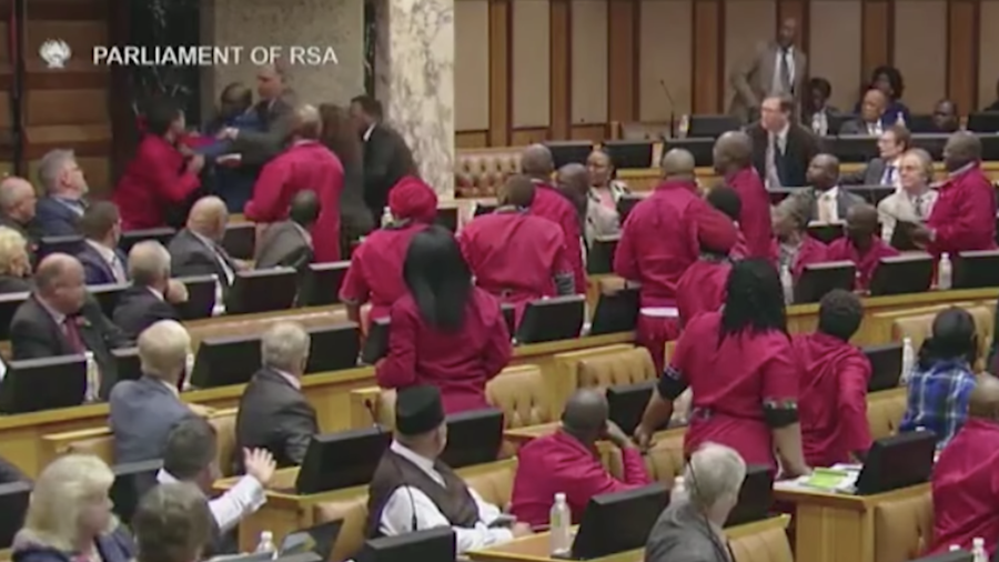 Brawl breaks out between MPs at South African parliamentary meeting (VIDEO)