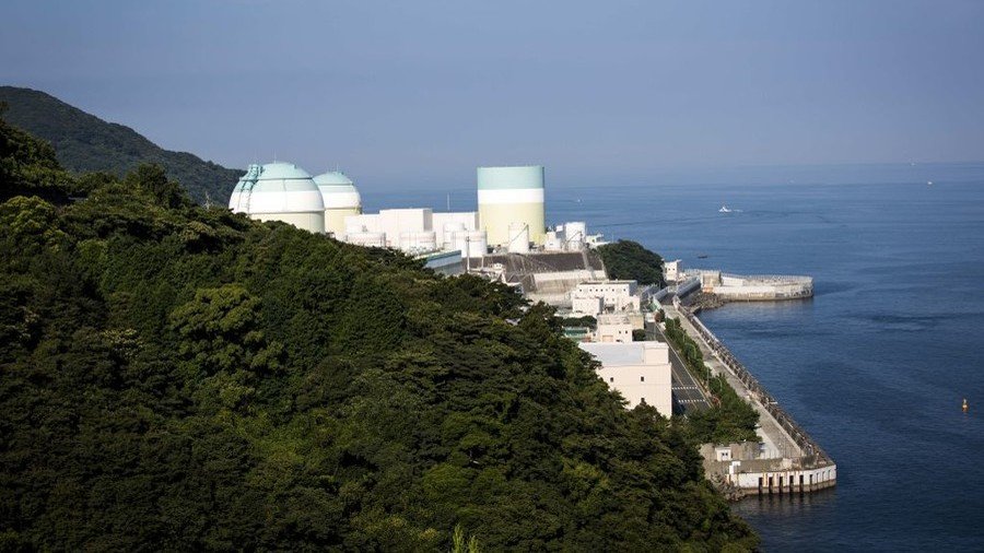 In wake of Fukushima disaster nuclear energy stages comeback in Japan