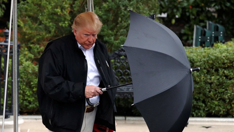 Umbrella troubles? Twitter mocks Trump as he bails on WWI commemoration over light rain