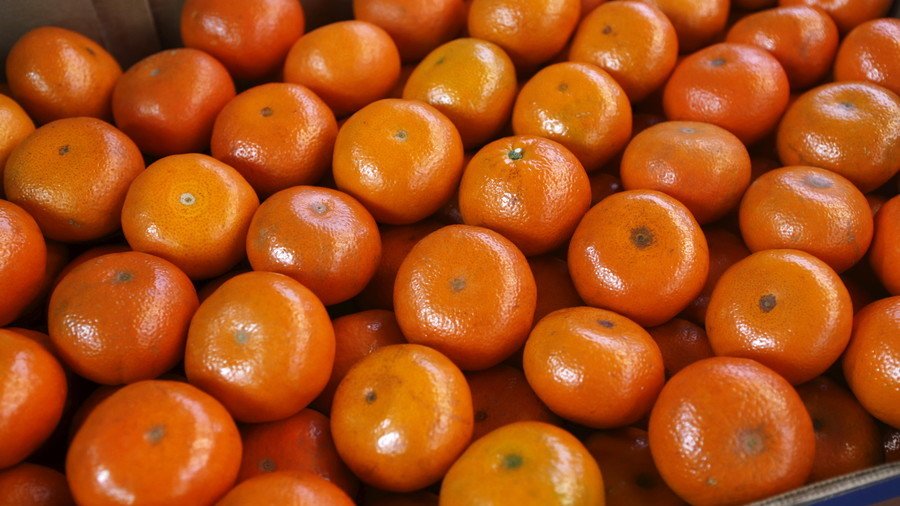 Fruitful thaw: S. Korean planes carry 200 tons of tangerines north in return for pricy mushrooms