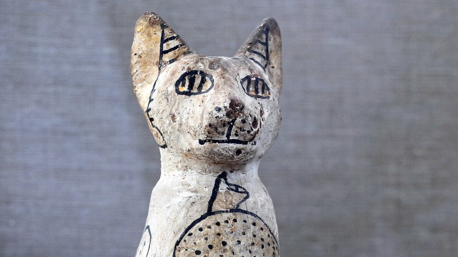Mummified cats, scarabs, and a 4,500-year-old ‘untouched’ tomb unearthed in Egypt