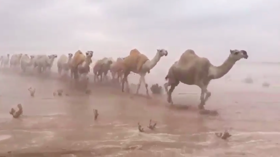 Watch the Saudi desert as you’ve never seen it before (VIDEO)