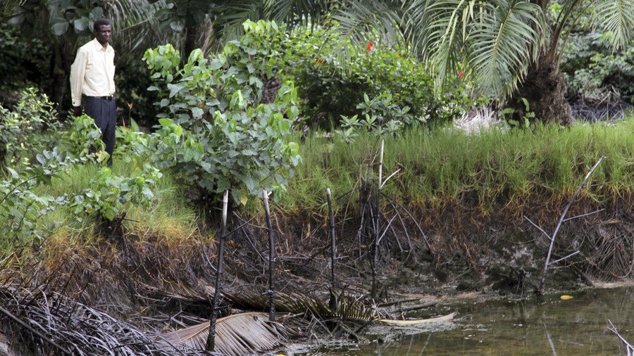 Two weeks in Nigerian red tape limbo: RT documentary crew finally returns home