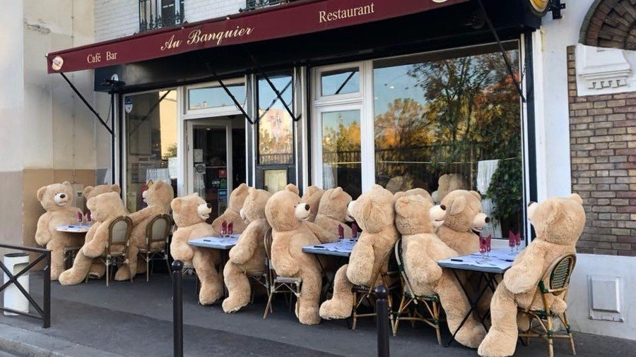 Paris goes bear-zerk as new ‘residents’ settle in (PHOTOS)