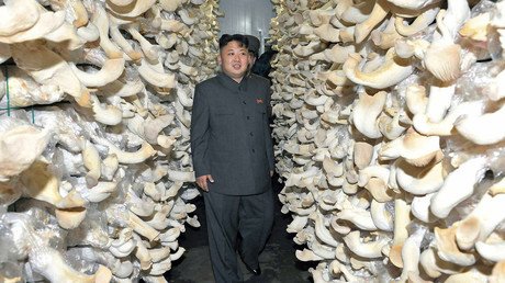 Kim’s prized mushrooms safe to eat, Seoul says after radiation test of North Korea gifts