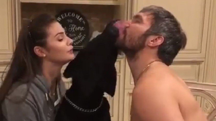 Woof-woof! Jealous Labrador crashes passion kiss between hockey star Ovechkin and his wife (VIDEO)