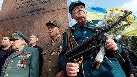 ‘Like denying the Holocaust’: Ukraine makes post-WWII nationalist fighters as privileged as war vets
