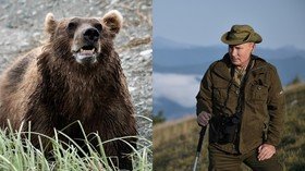 ‘Bears here, bears there’: Putin says he almost got SURROUNDED in Russian wilderness