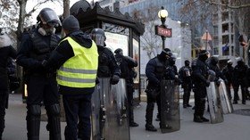 Police arrest 300+ in Paris ahead of mass Yellow Vest protests