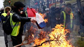 ‘Paris agreement isn’t working out so well for Paris!’: Trump taunts Macron over Yellow Vests