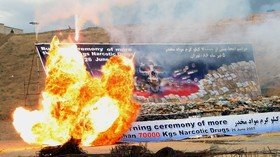 Iran hopes anti-drug smuggling efforts will convince Europe to save nuclear deal – analyst (VIDEO)