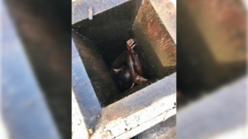 ‘Please help!’: Crying ‘trespasser’ nearly dies after 2 days stuck in restaurant's GREASE VENT