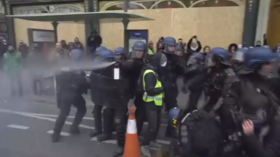 Police deploy tear gas at Yellow Vests in Paris (VIDEO)