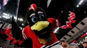 Feathers fly as Chicago Blackhawks mascot involved in punch-up with fan (VIDEO) 