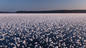 Winter wonderland: Thousands of rare ‘ice flowers’ bloom on Russian lake (PHOTOS)