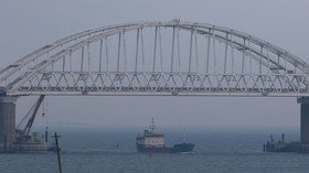 US lawmakers' 'reckless' call for navy op in Black Sea incites more mischief from Kiev – Senator