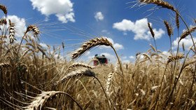 Russia’s agricultural exports to hit $25 billion this year