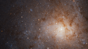 Hubble captures awe-inspiring PHOTO of Triangulum galaxy that spans 19,400 light-years
