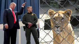 Trump Jr. put on blast for comparing border wall to ZOO FENCE