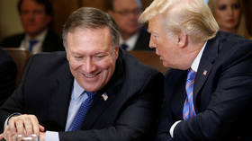 Trump is willing to take military action in Syria again if needed – Pompeo