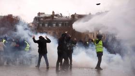 Police employ tear gas & water cannons as Yellow Vest protests enter 9th week (VIDEOS)