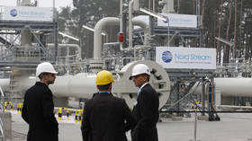 ‘Consider the danger’: US ambassador threatens to sanction German Nord Stream 2 companies