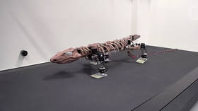 Scientists 'resurrect' giant prehistoric lizard as a walking robot (VIDEO)