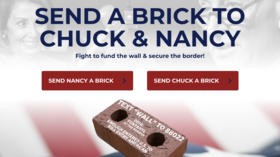 'Prove that WALLS WORK!' Trump fundraiser aims to flood Dems' offices with fake BRICKS