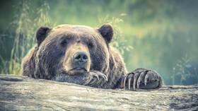 There's still a risk of full-blown bear market, warns Nobel Prize winner Robert Shiller
