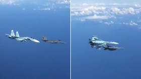 WATCH ‘Russian’ Su-27 fend off F-15 in a daring maneuver mid-air