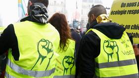 Can a Yellow Vest leader declare himself president? French MP denounces recognition of Guaido