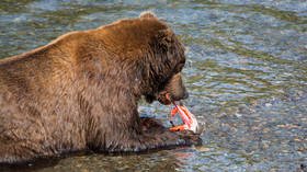 Want to ‘destroy’ your ex? Sanctuary will name fish after former lover & feed it to a bear