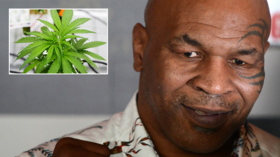 Bet that packs a punch! Mike Tyson spotted smoking FOOT-LONG joint at marijuana festival (VIDEO)